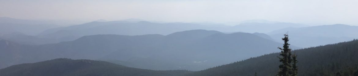 Adam Pinn's Site