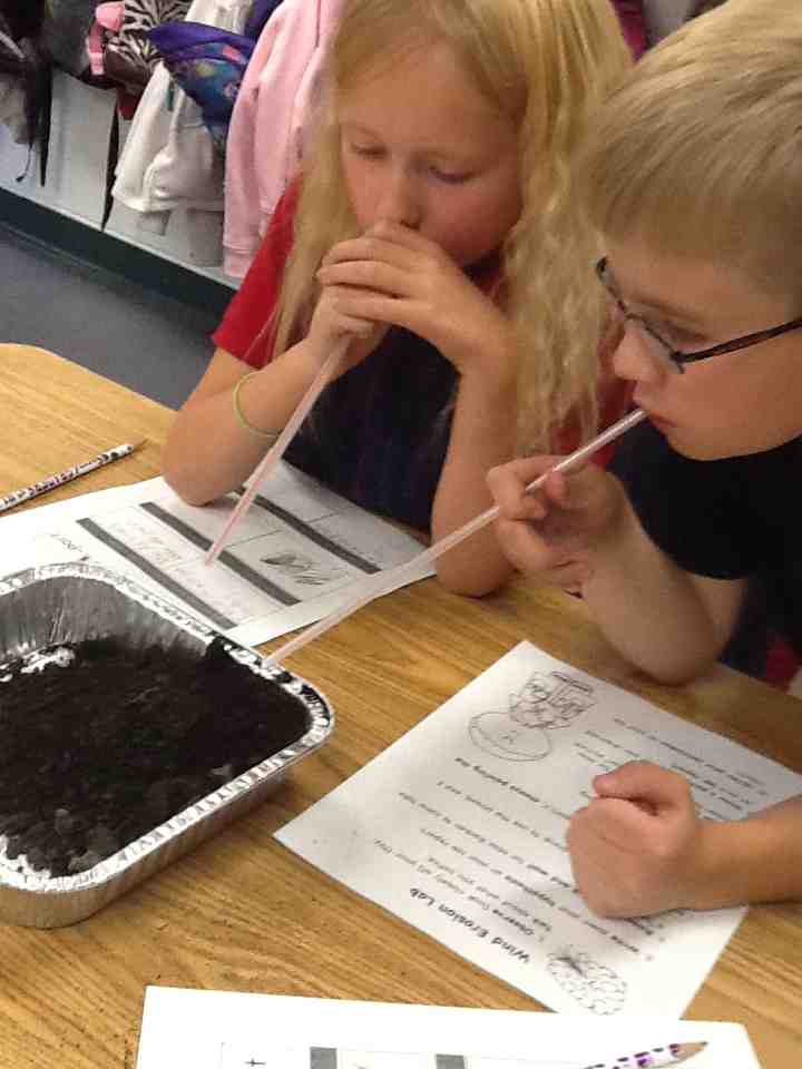 Instructional Design Alyssa Renken's Online Portfolio